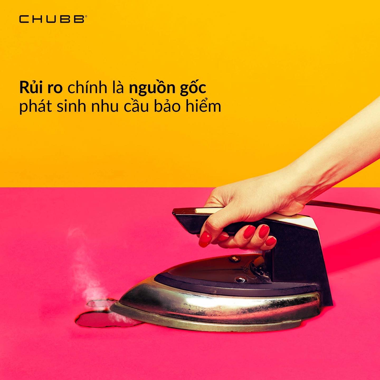 481910746 1070857968414566 6393161788984471373 N